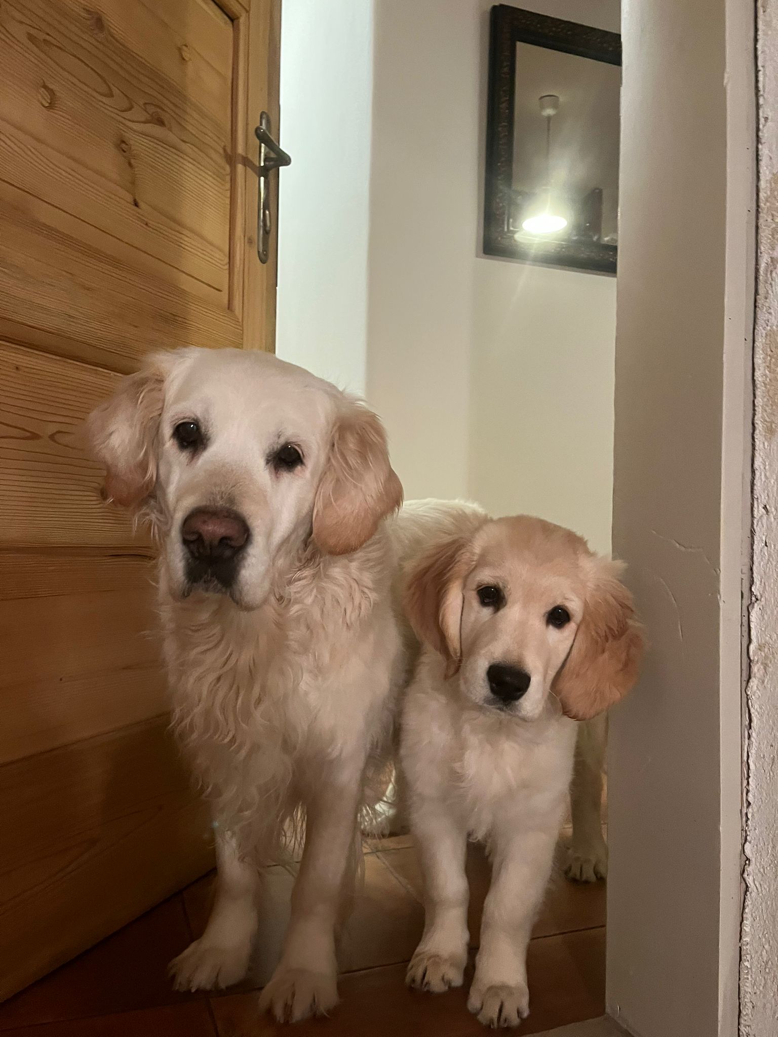 3fbd8d83-5b62-4892-80c1-c9a303c20a5f