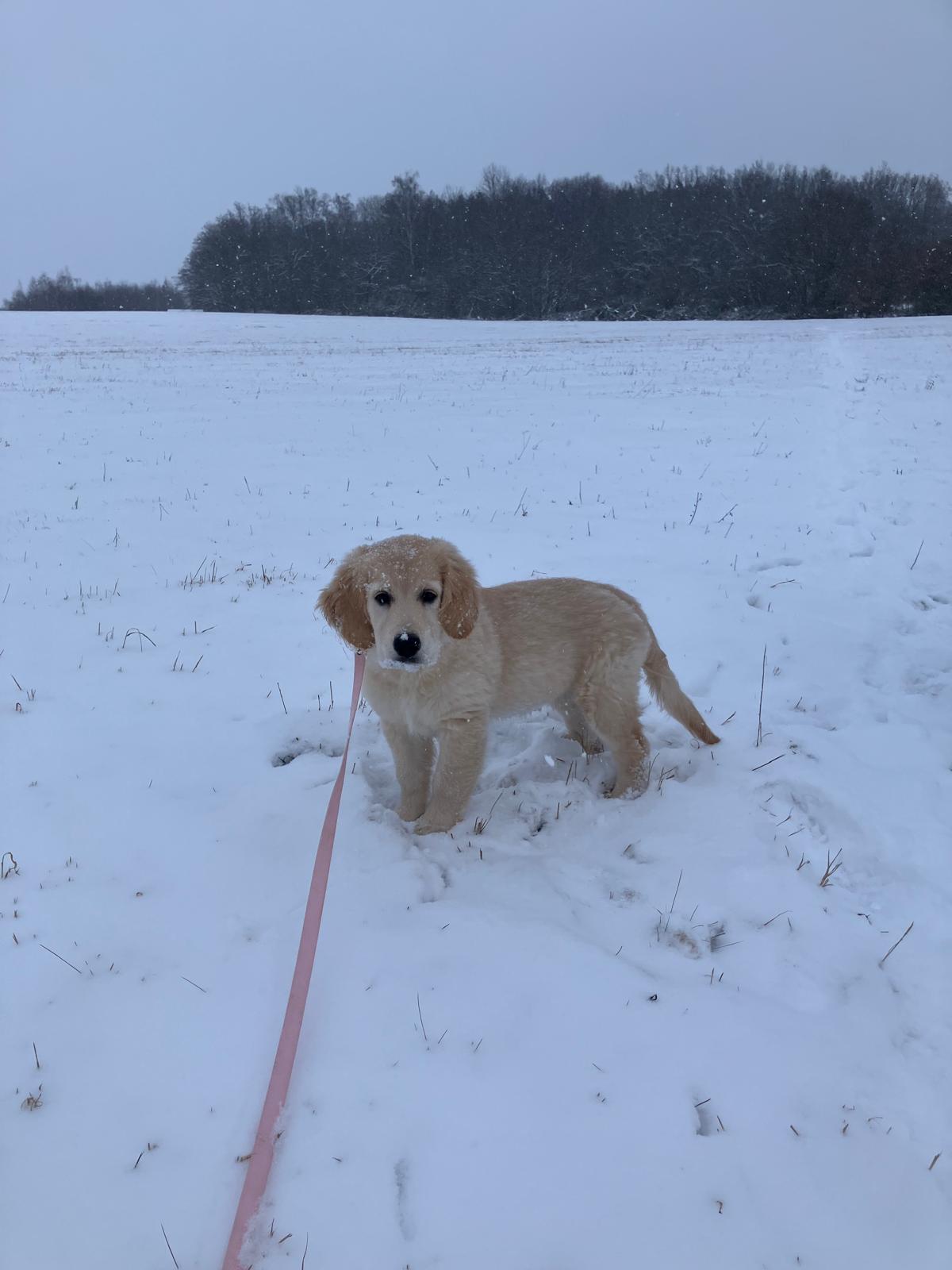 8d66d6bc-5700-4b65-ab29-e94c27323095