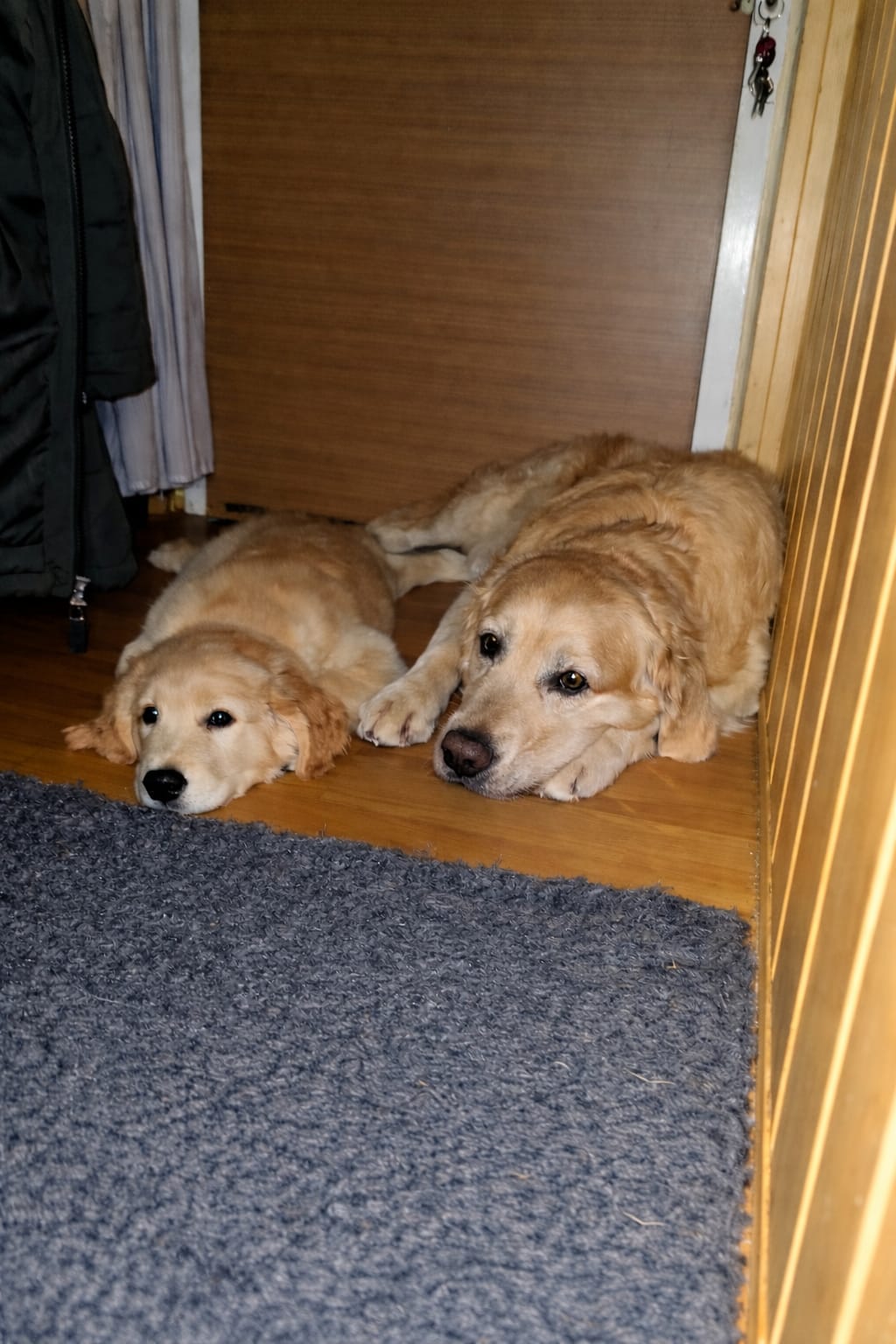 f6e80393-e9fc-40da-b54d-b1937bda66f6