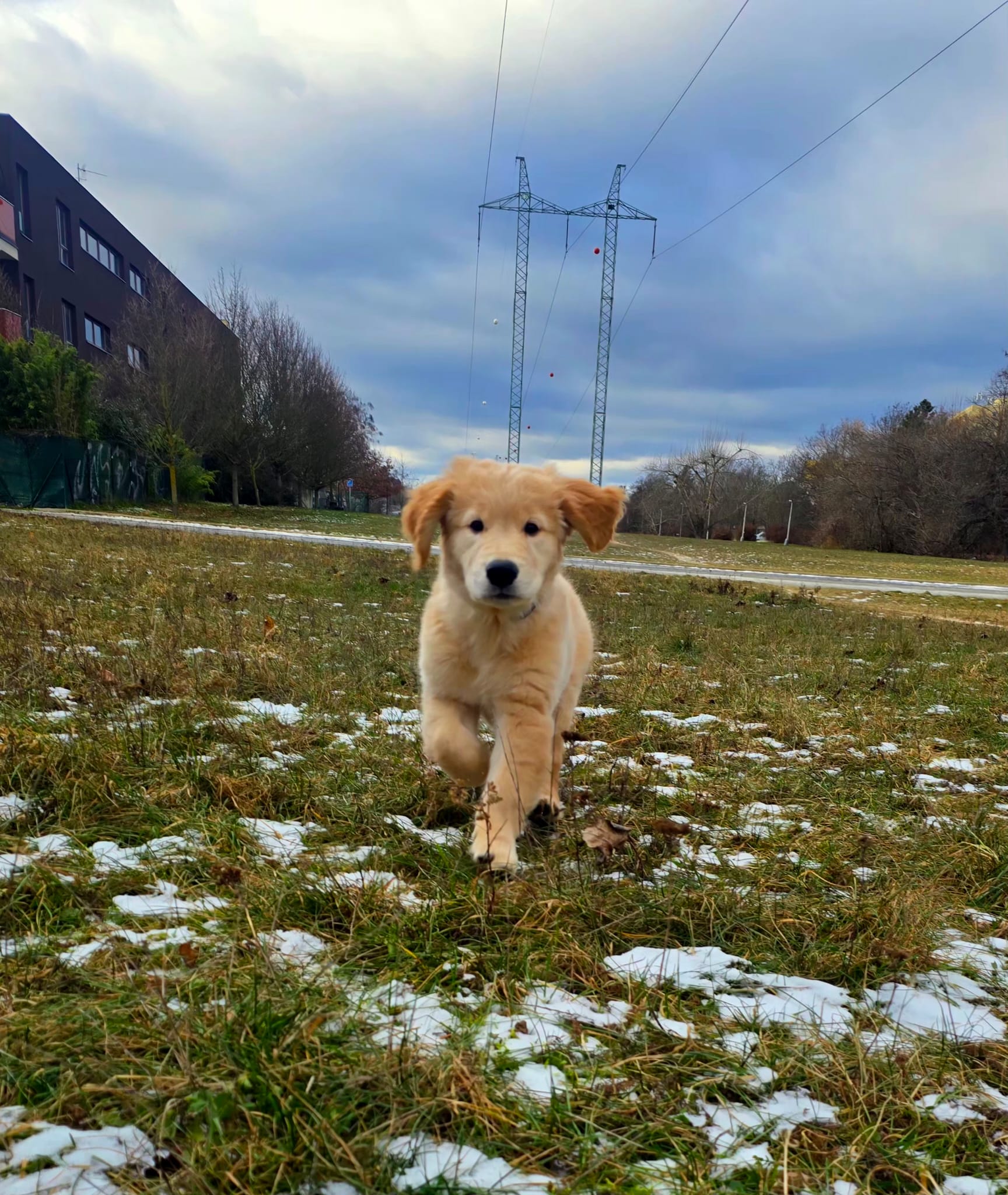 aab4e2a8-3aea-4b86-a601-cf0eaf2d7027