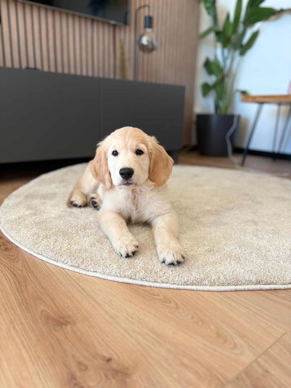 5c384cbe-1859-47b6-a4cd-c3e8b6d3c25d