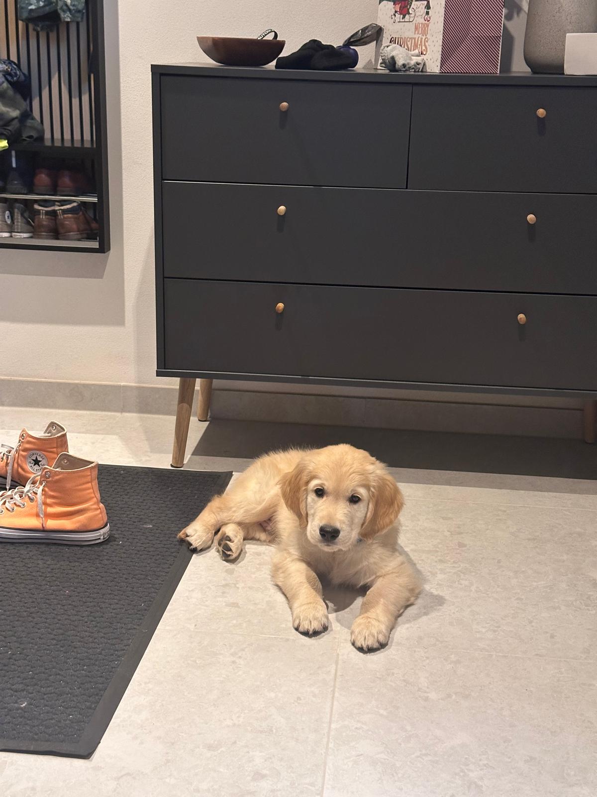 780a6321-cf41-4b0a-b1b3-204d57f058b7