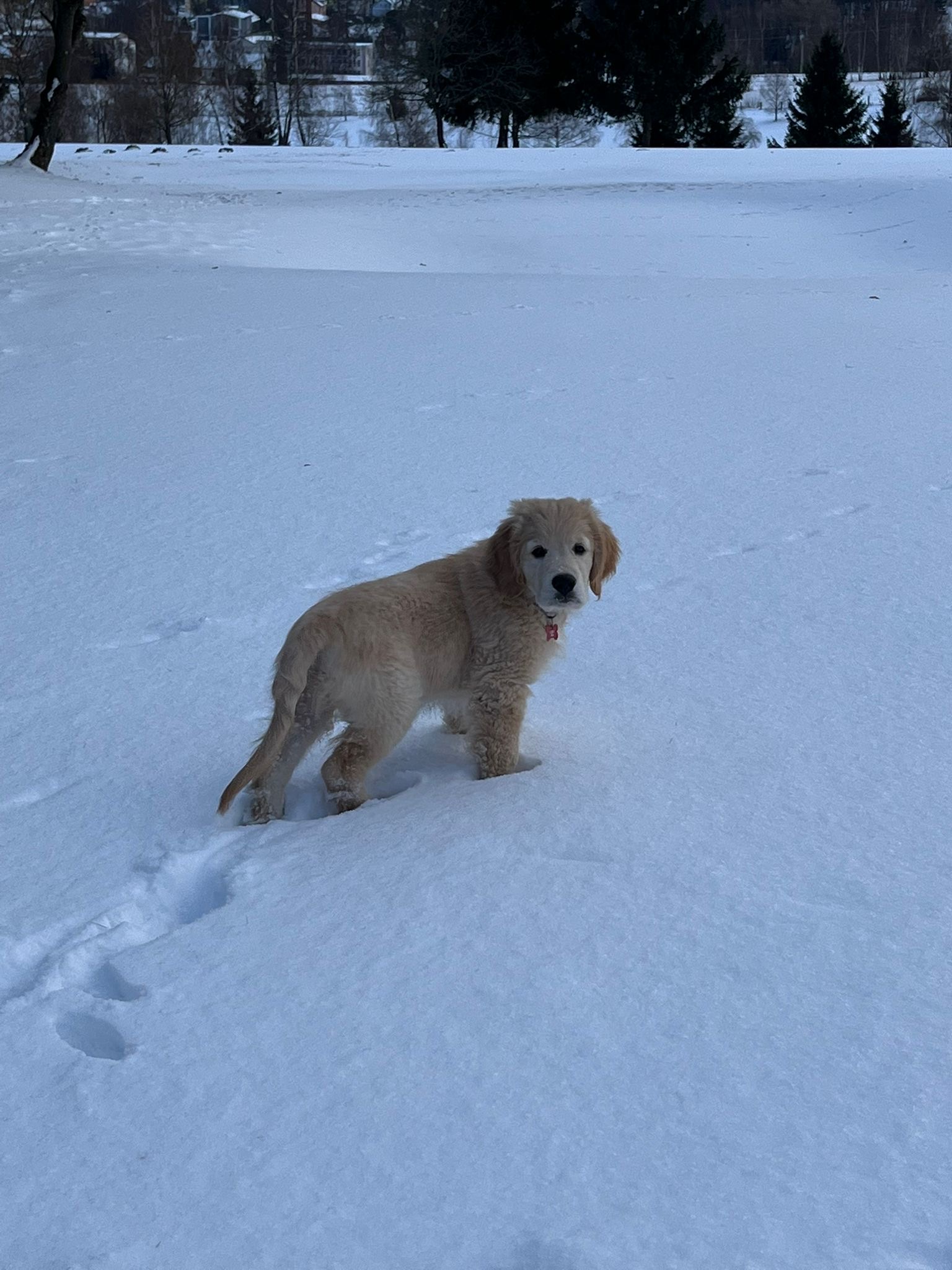 136C56FB-A3EC-49E1-ADF0-3B089B7F059A