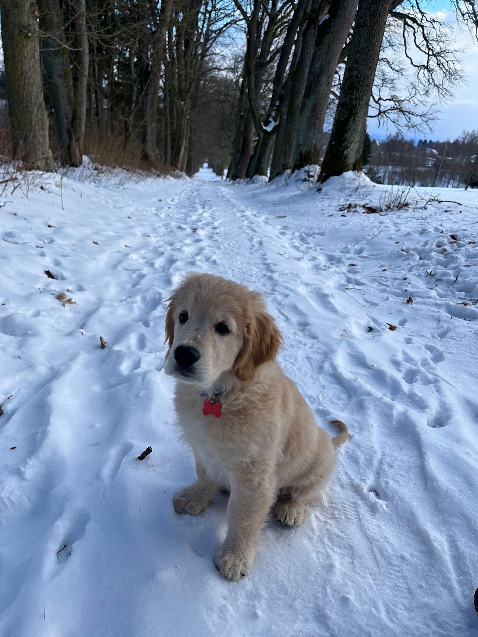 95E9BDCA-153F-484A-B356-71994B98CCA6