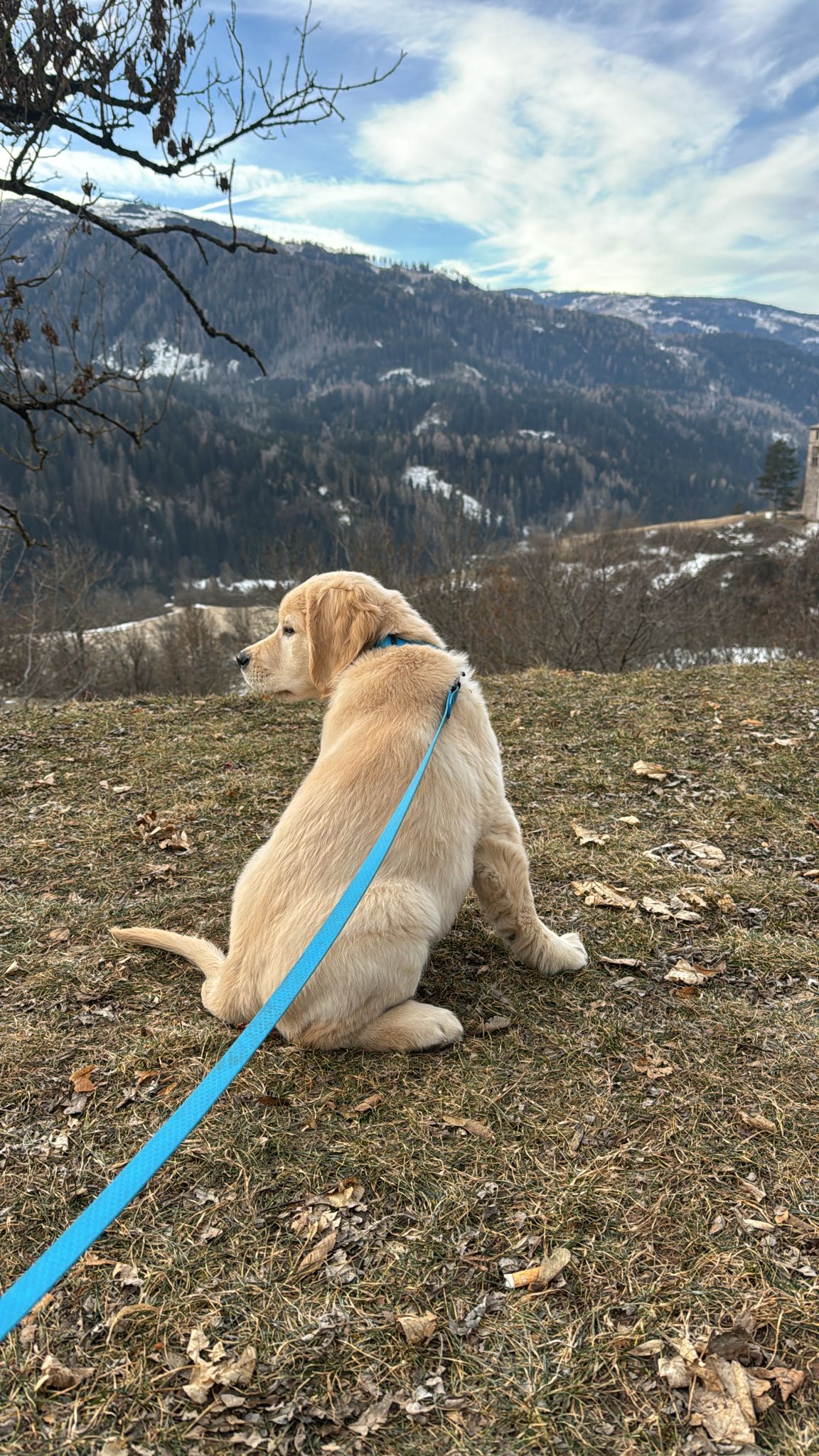 234663f4-db82-48c0-93e5-cec127b7b2f6