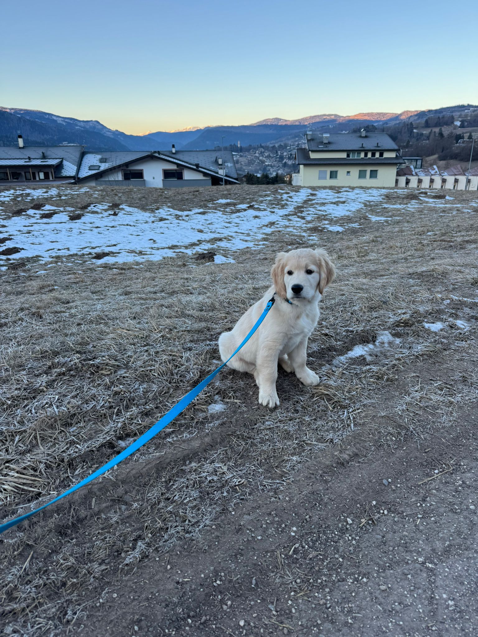 e24e0bc5-fb7a-41dd-b064-53eff8f8e5be