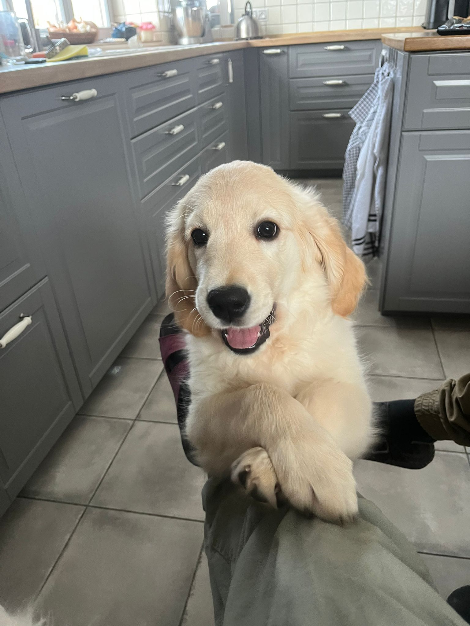 dadfe789-6ab3-4430-8448-402f7666bcaf