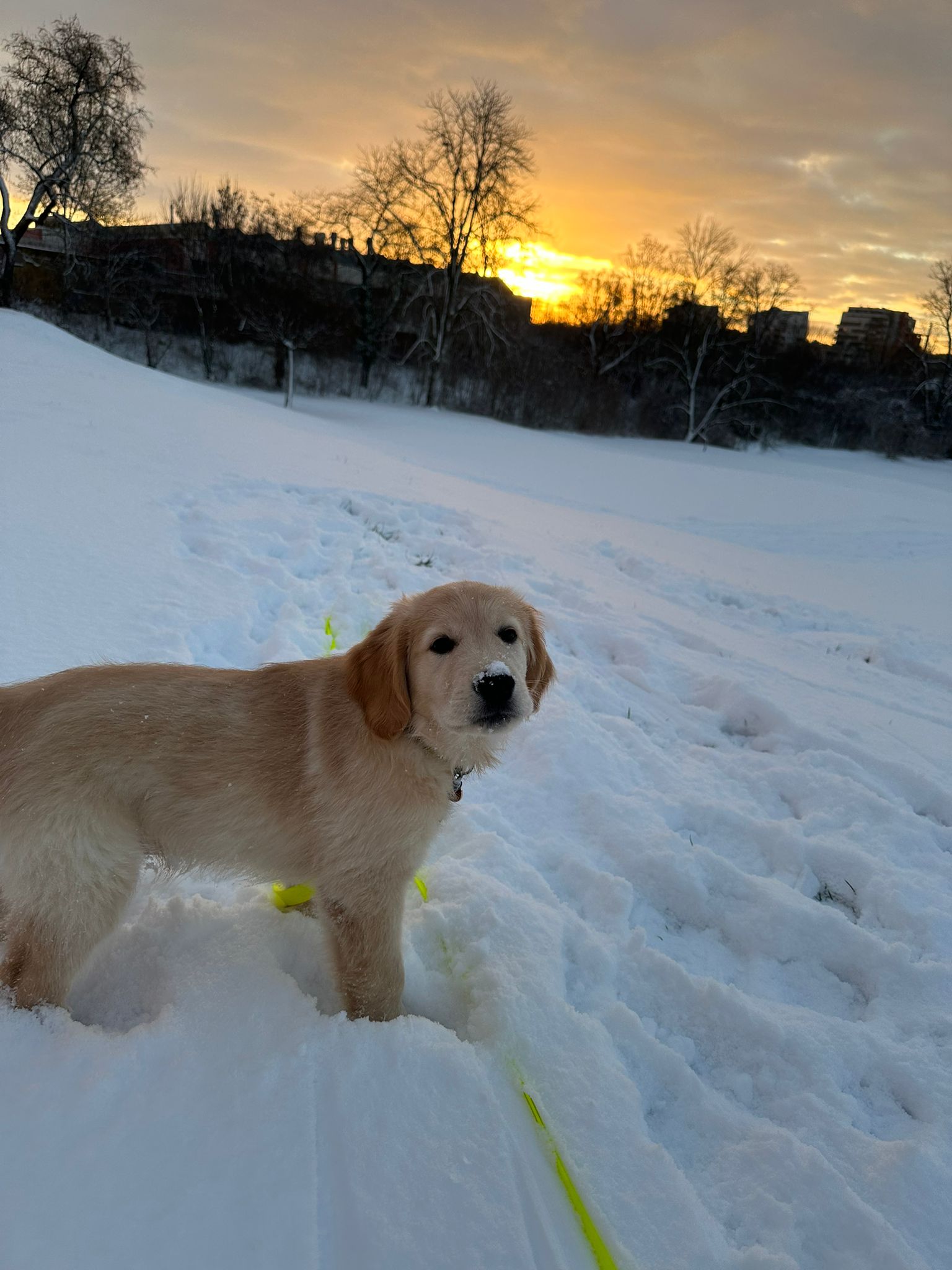 7d676ec4-0d8d-4057-ba72-1e8c6b76dea0