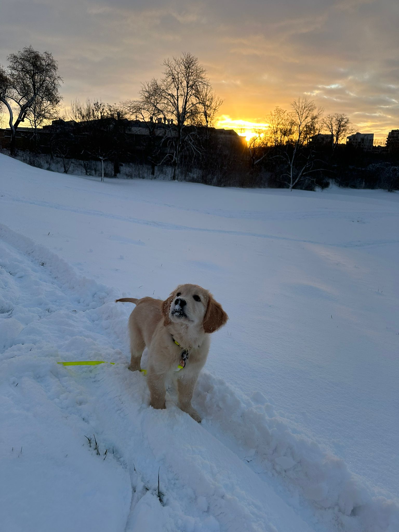 c6b346b3-0d6d-46cb-b9f2-baddd0b90f87