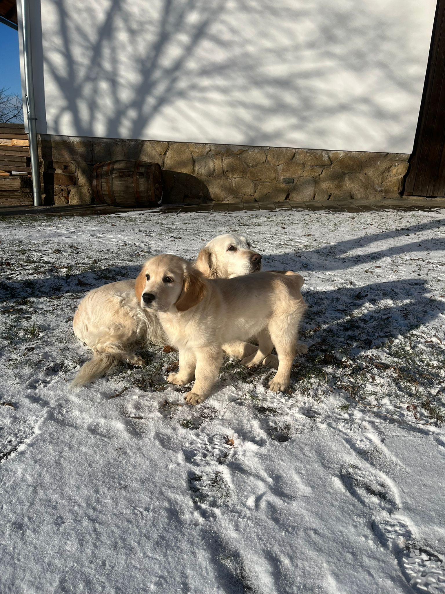 bda43bcb-dfe0-4fd4-867e-6a46beb3a1c0