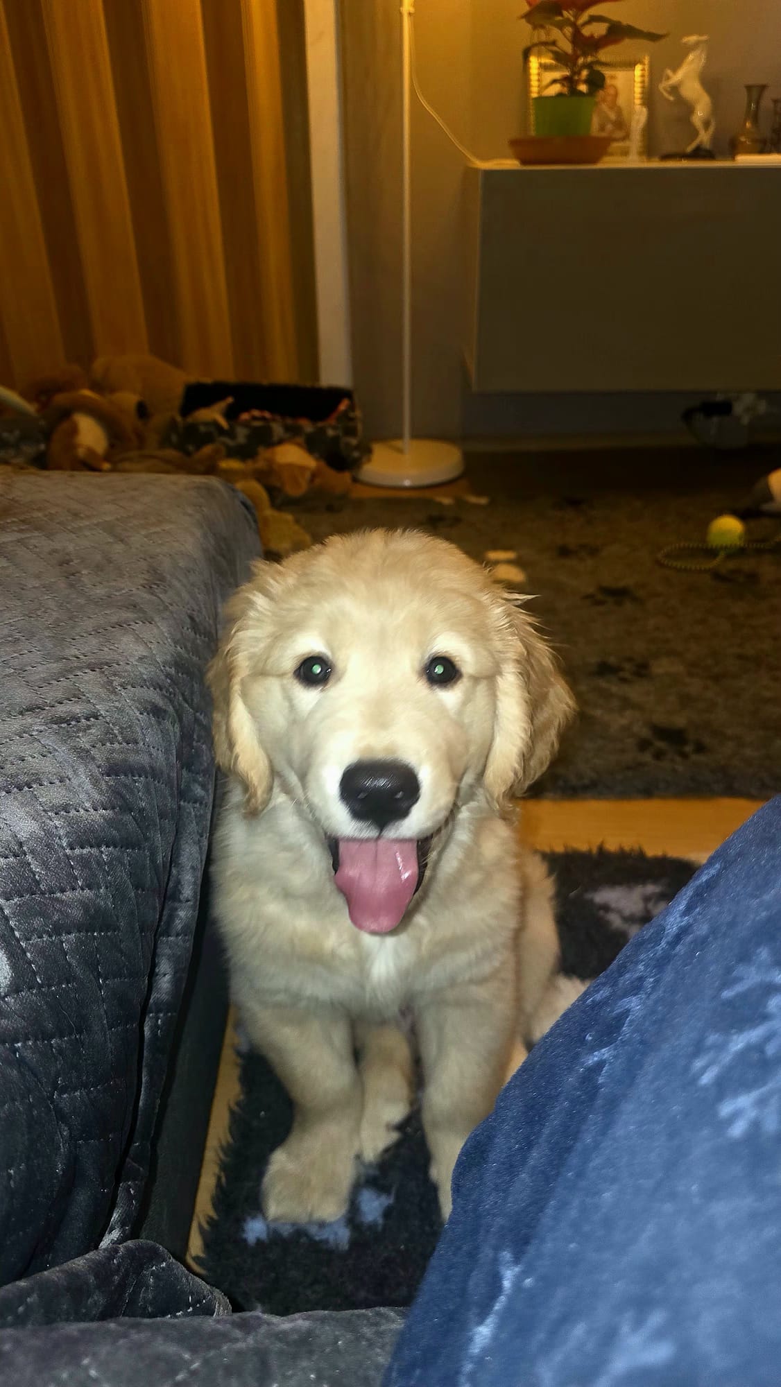 7f7adca1-443d-4e75-95bb-cc5df3e4703f