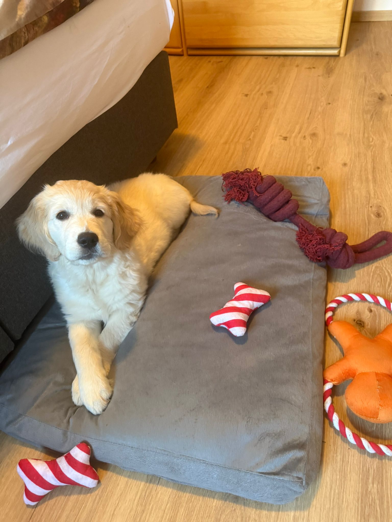 1371dea2-0761-4b30-8bd9-820840953b0c