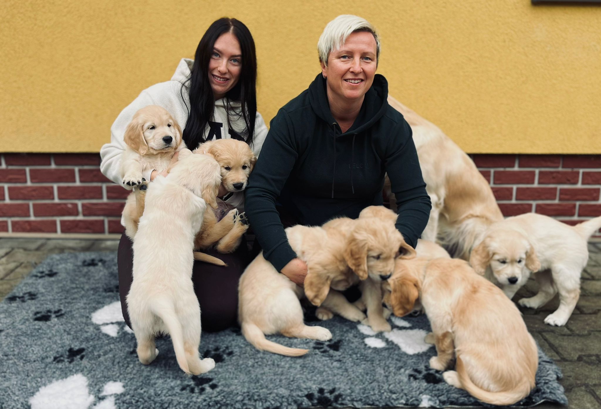 0c86991c-f444-4895-9366-62b4754c64e6