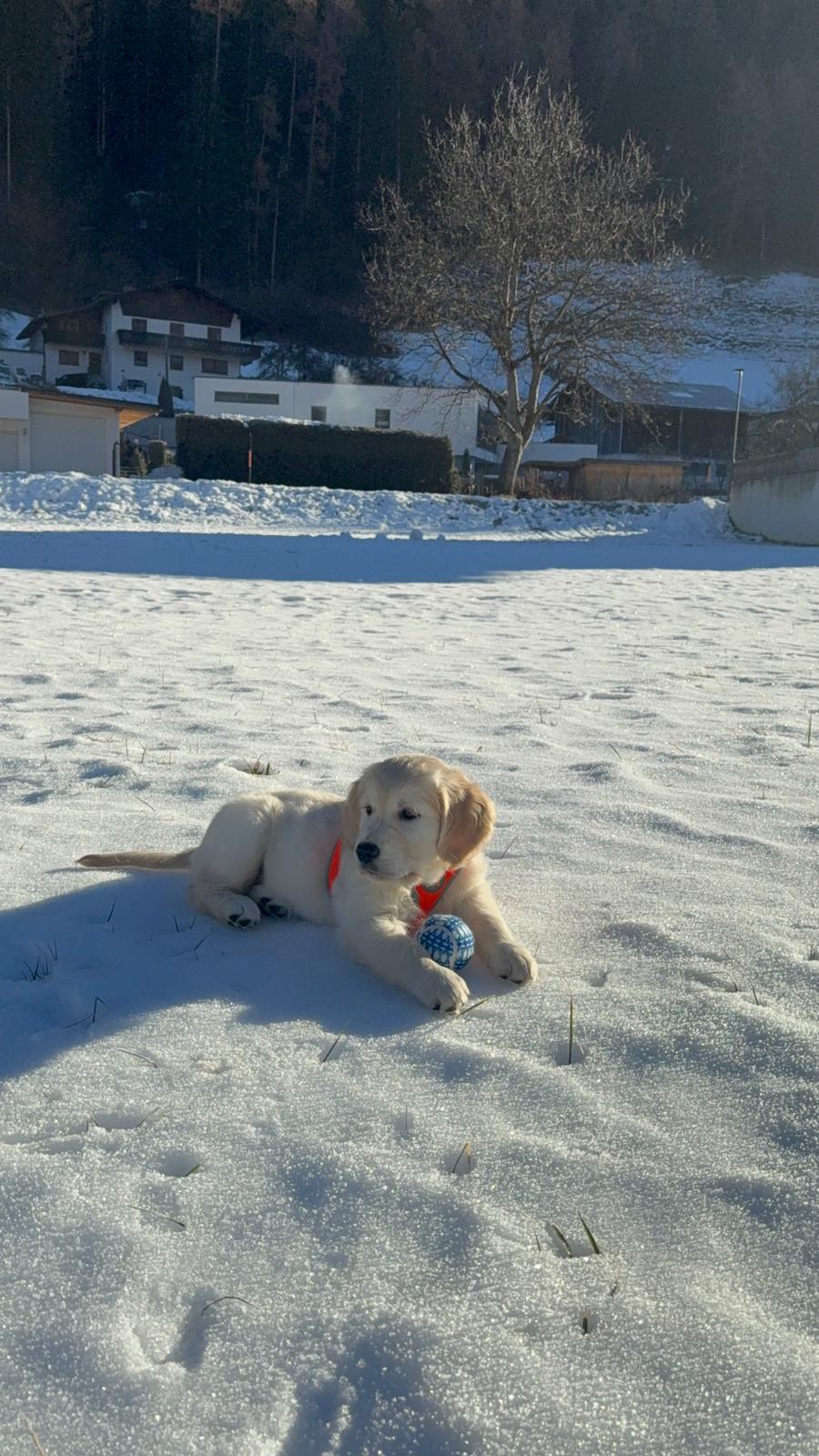 fc9a7dba-f0b1-48dd-bbc9-ceb5e991f1fa