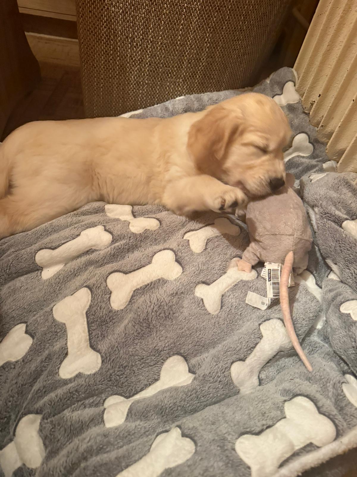 f8a147ee-afc6-4bb2-942f-31e6daeb2a62